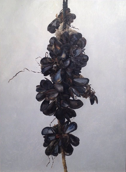 Block Island Mussels .png