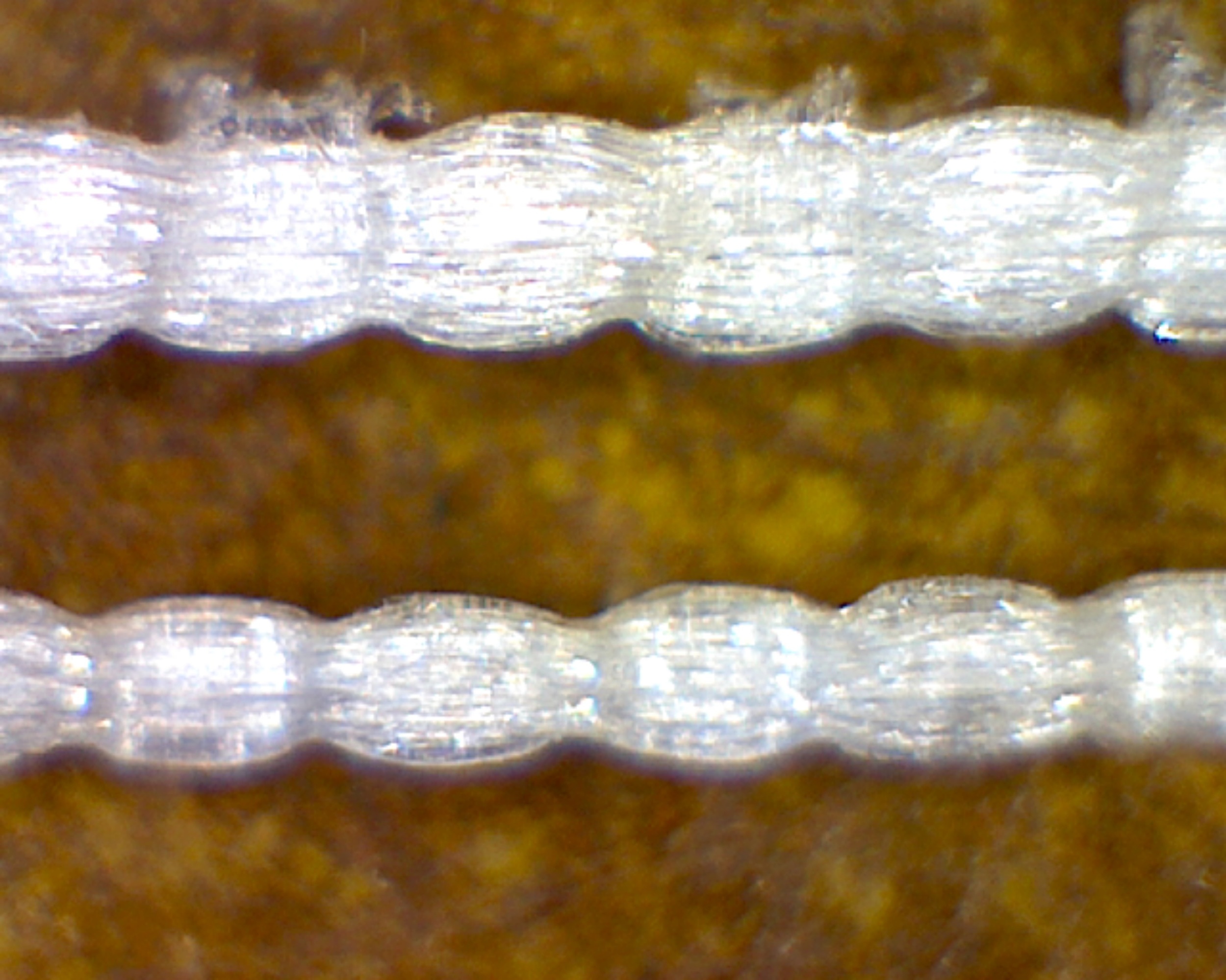Fill Yarns Close S2.jpg