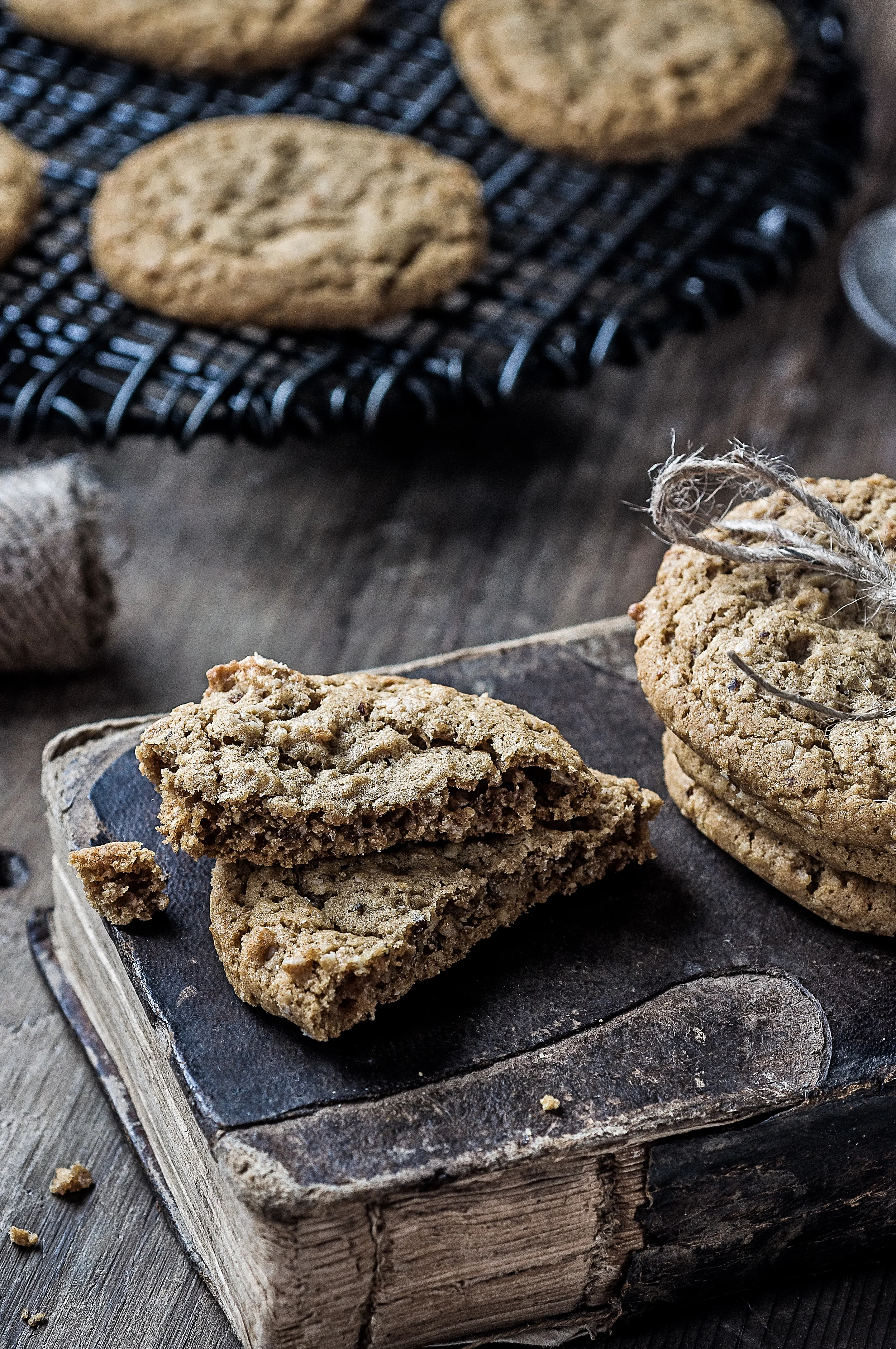 Cookie-Session_063_04-11-16.jpg