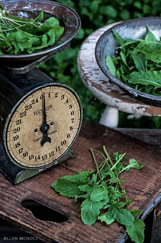 Arugula-Garden_162_01-31-16b.jpg