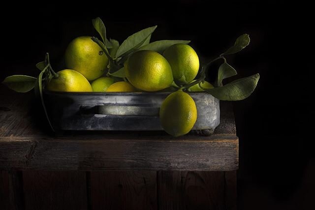Lemons
#lemons #lemonade #stilllifephotography #sculptingwithlight paintedwithlight #lightpainting #darkandmoody #tabletopphotigraphy
