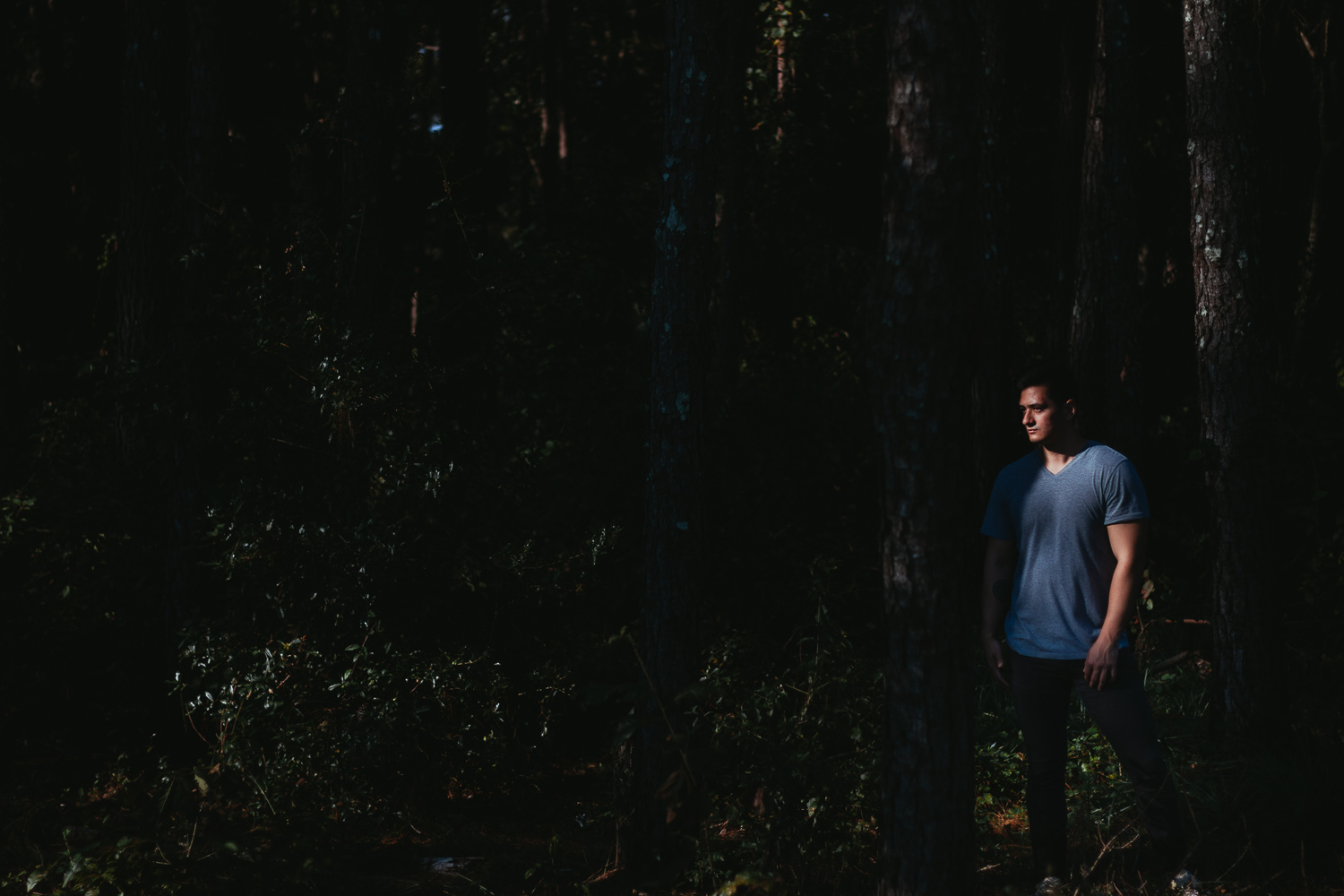 Ben Yang — The Dark Woods