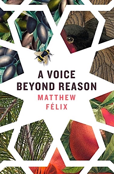 A Voice Beyond Reason