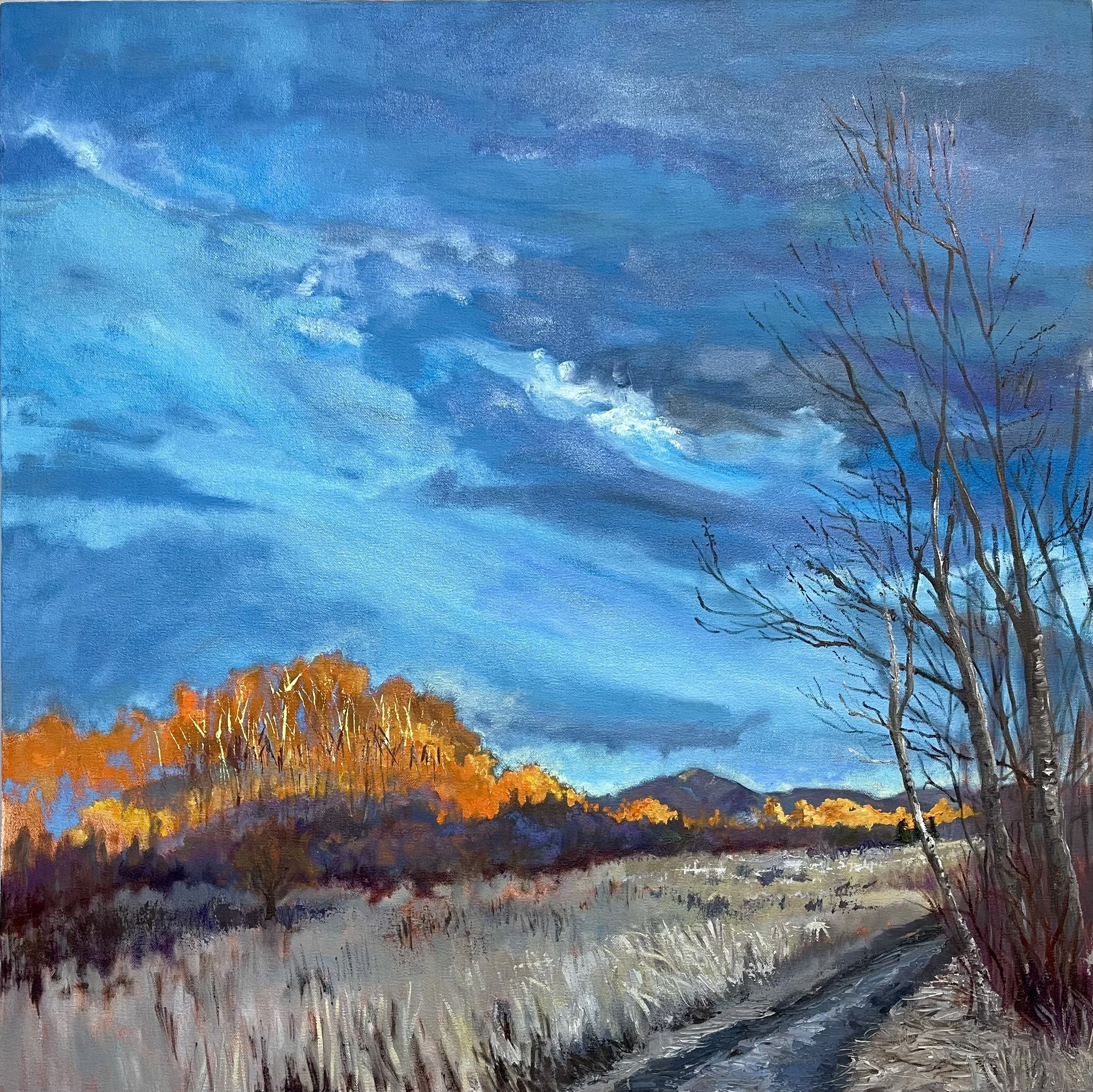 Graf Park Autumn_32x32_2022 (1).jpeg