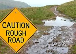 Navigating the Bumpy Road to a PhD....and a Career