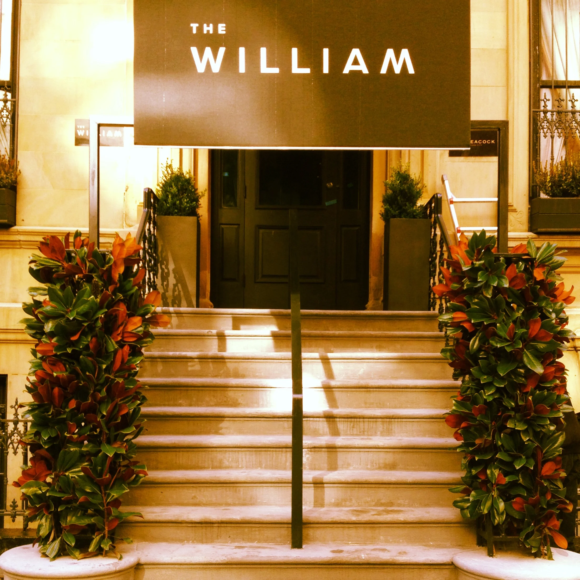 Hotel the WILLIAM NY