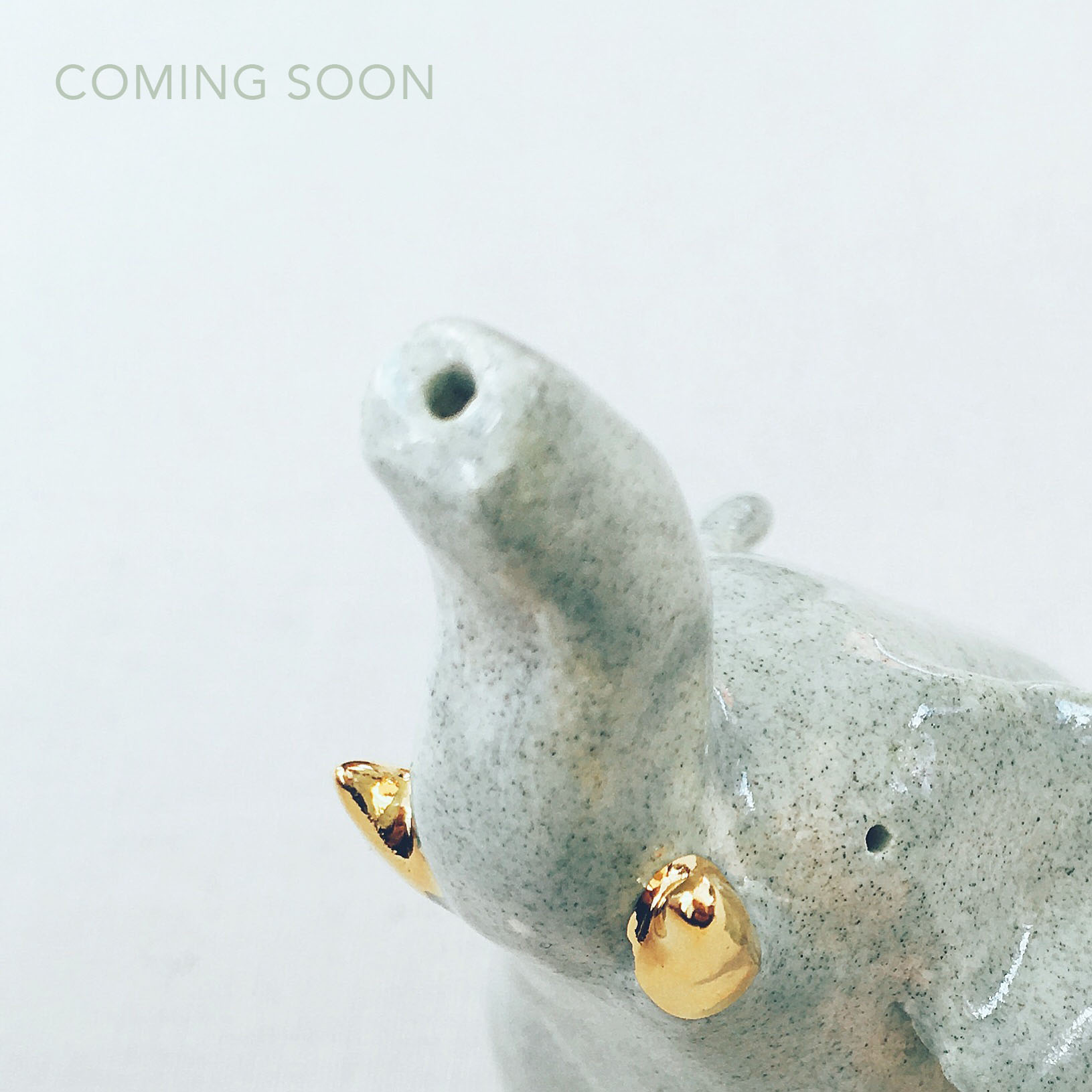 COMING SOON - ELEPHANT.jpg
