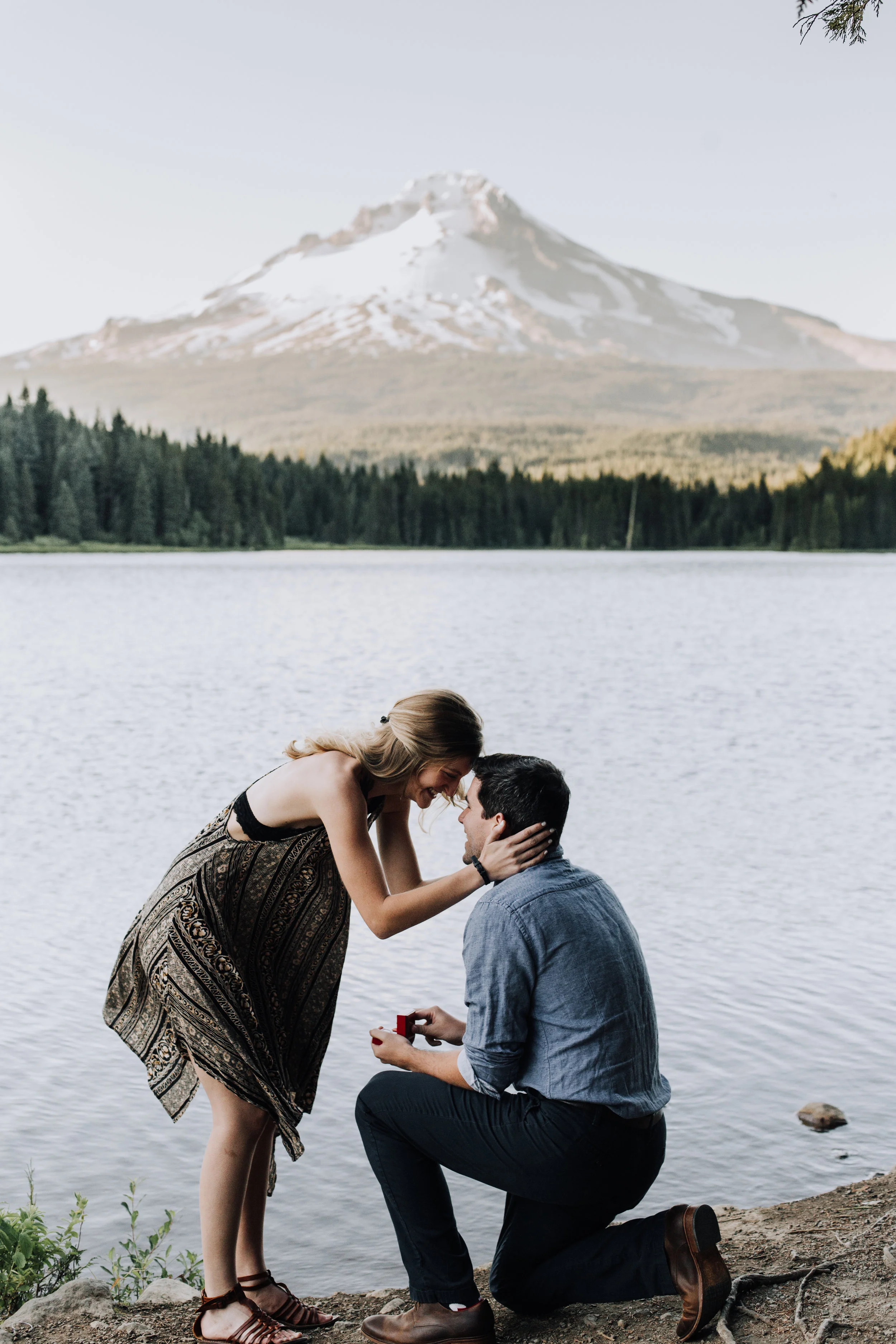 TrilliumProposal-35.jpg