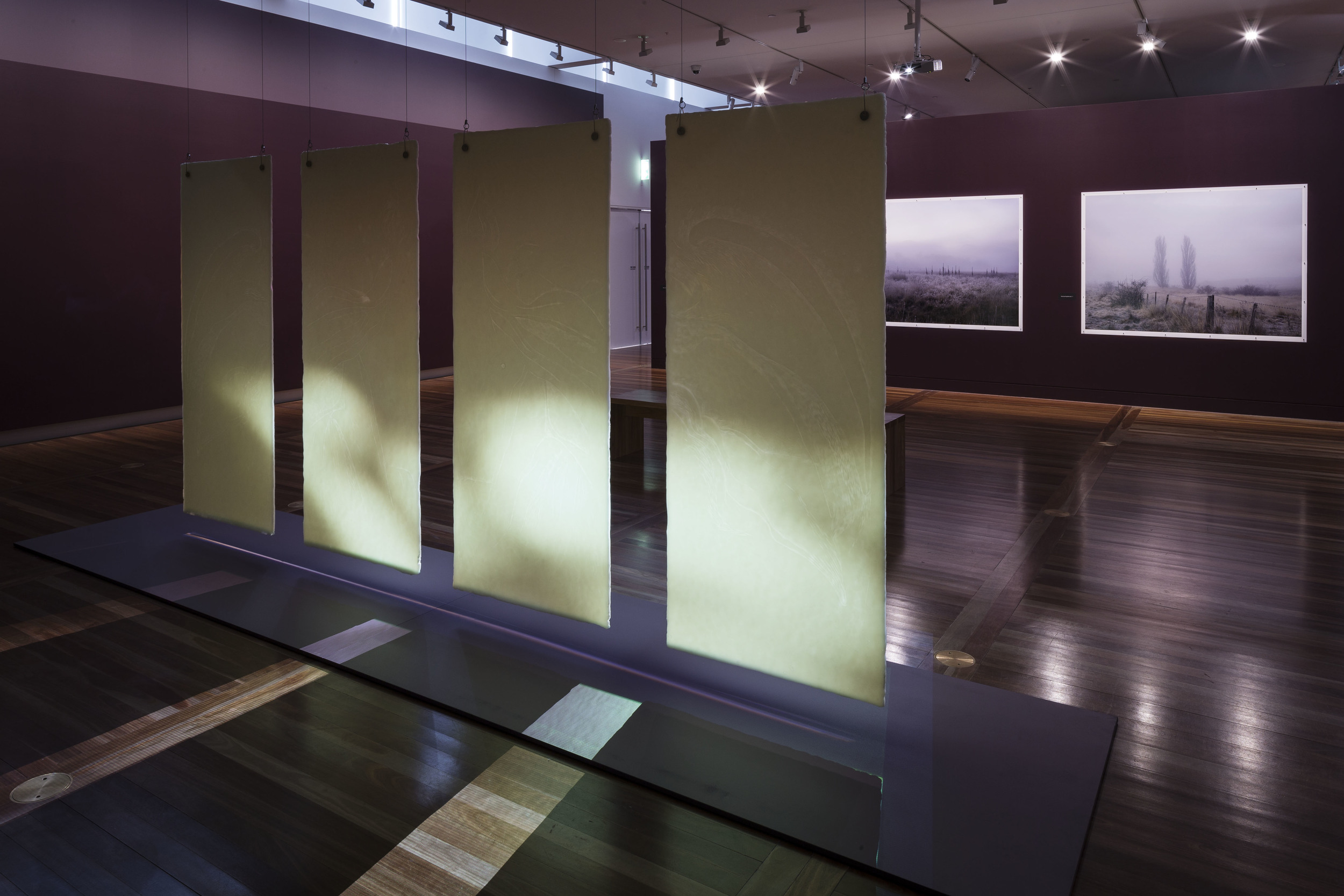 Last light, 2015, carved wax and video projection in the exhibition All that fall: sacrifice life and loss in the First World War. Photo: Mark Mohell