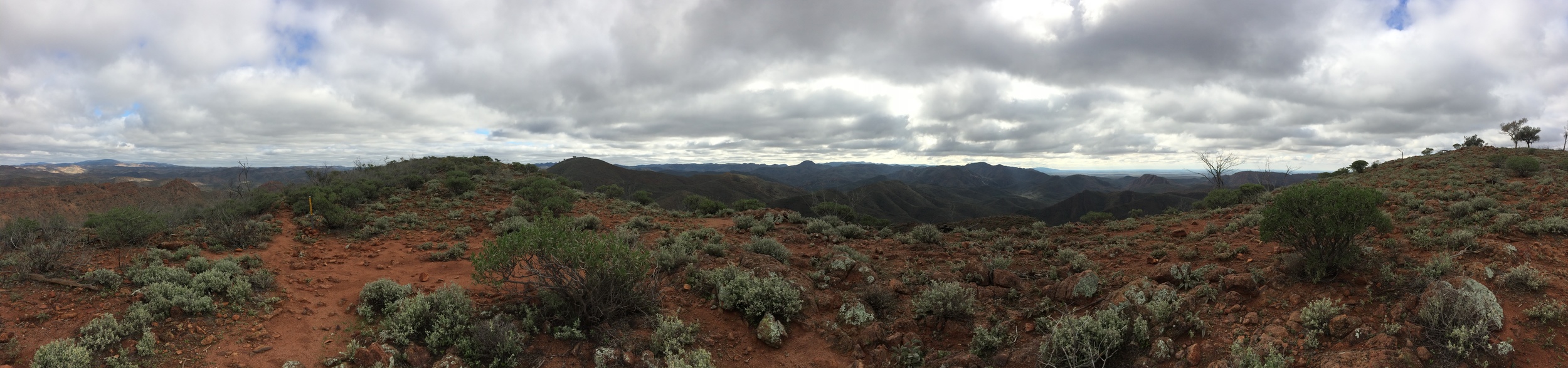 So still and silent on the ridge top - not even a breath of wind - all I could hear was the ringing in my ears...