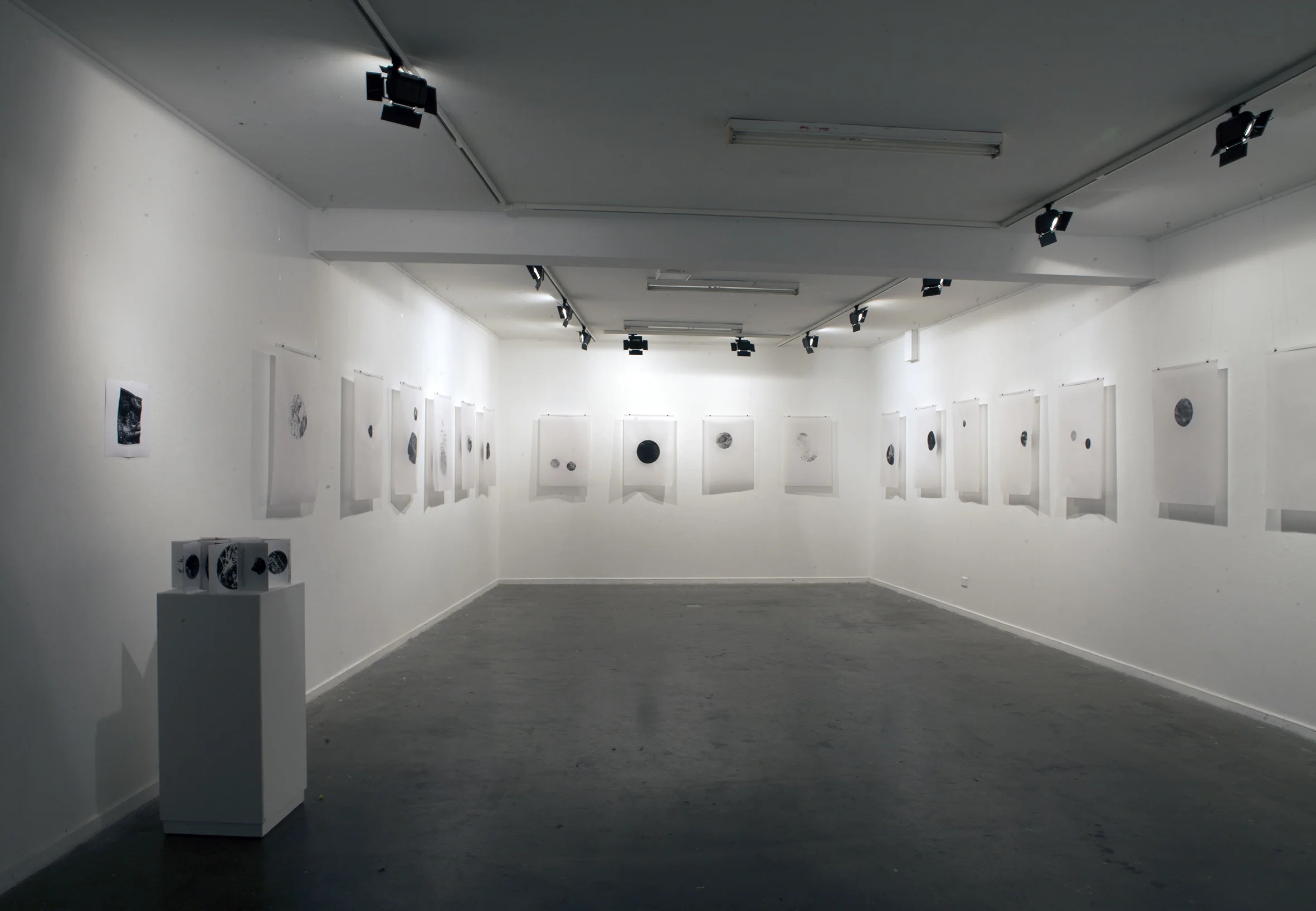 Installation view, Dreams and terrors, collaborative exhibition with Jessica Brooke Anderson, 2016, Canberra Contemporary Art Space, Manuka, Canberra