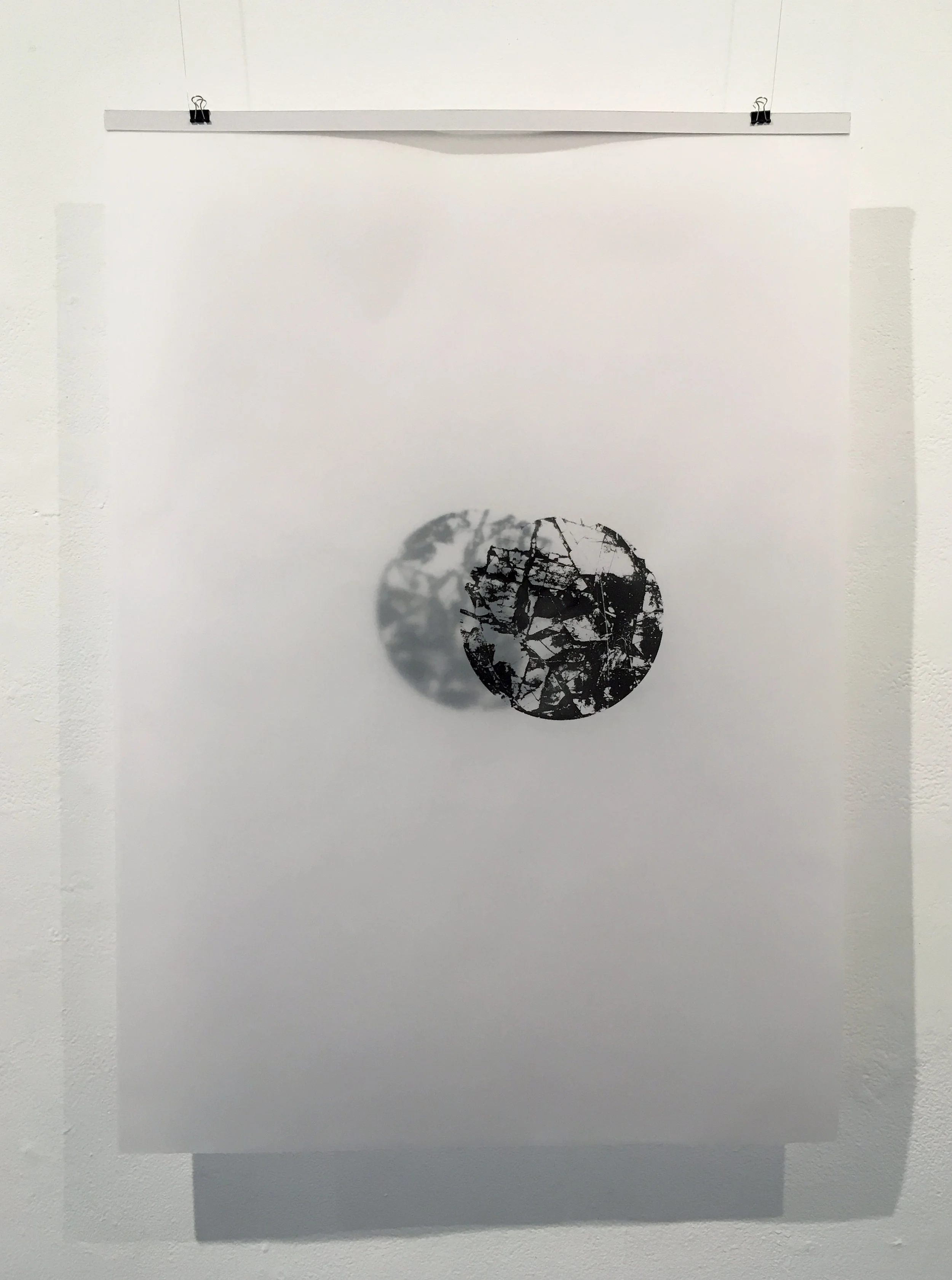  Ellis Hutch, 2016, screenprint on tracing paper 