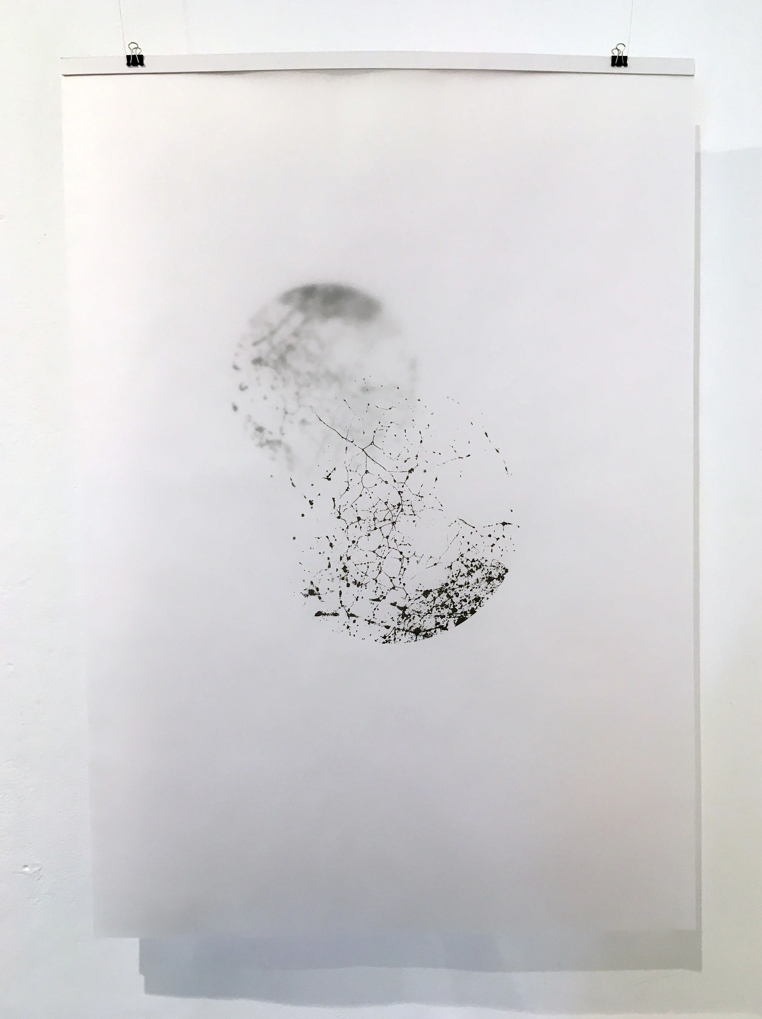  Ellis Hutch, 2016, screenprint on tracing paper 