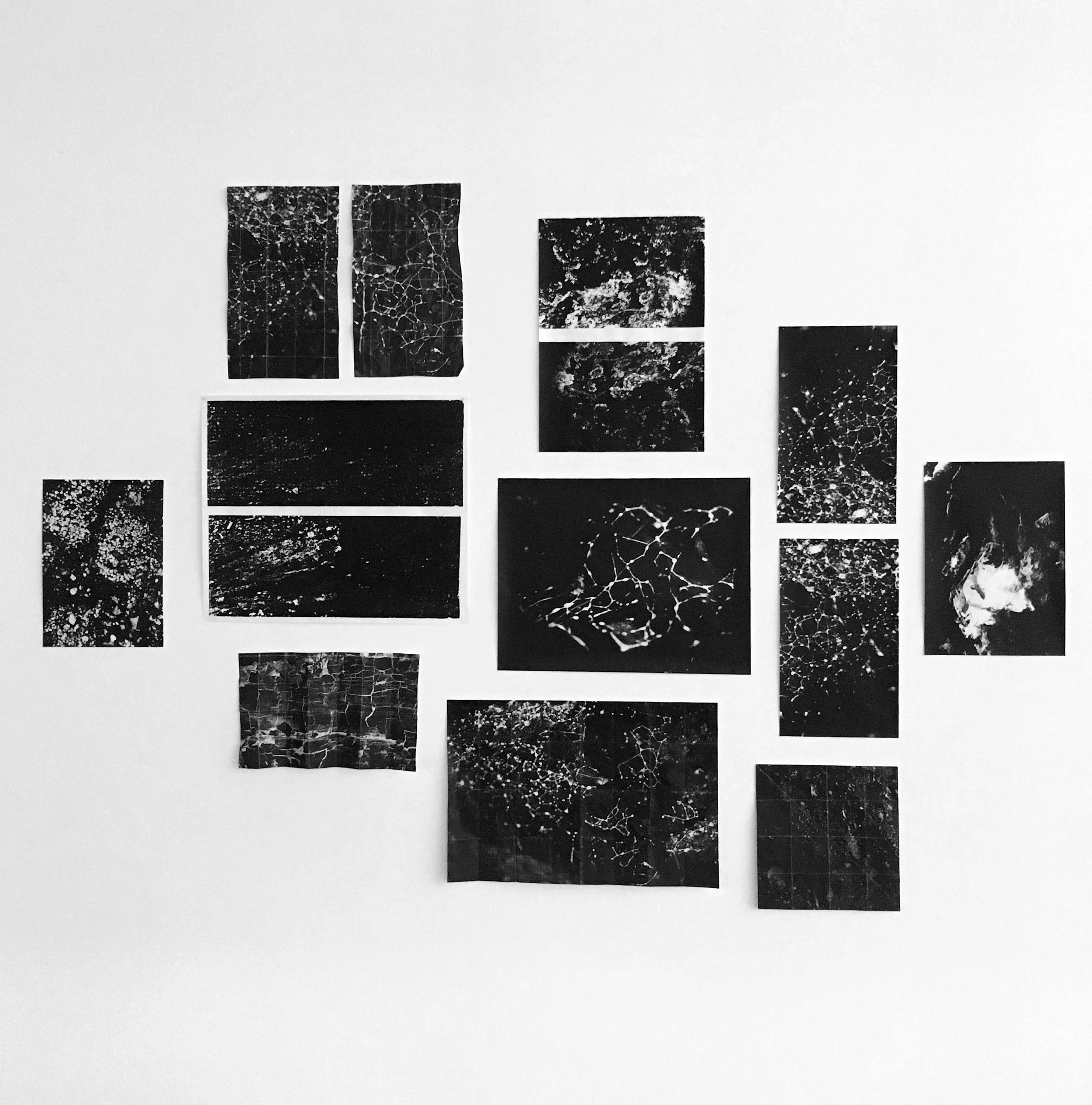   Collected pieces #1, &nbsp;2016, screenprints and photocopies 