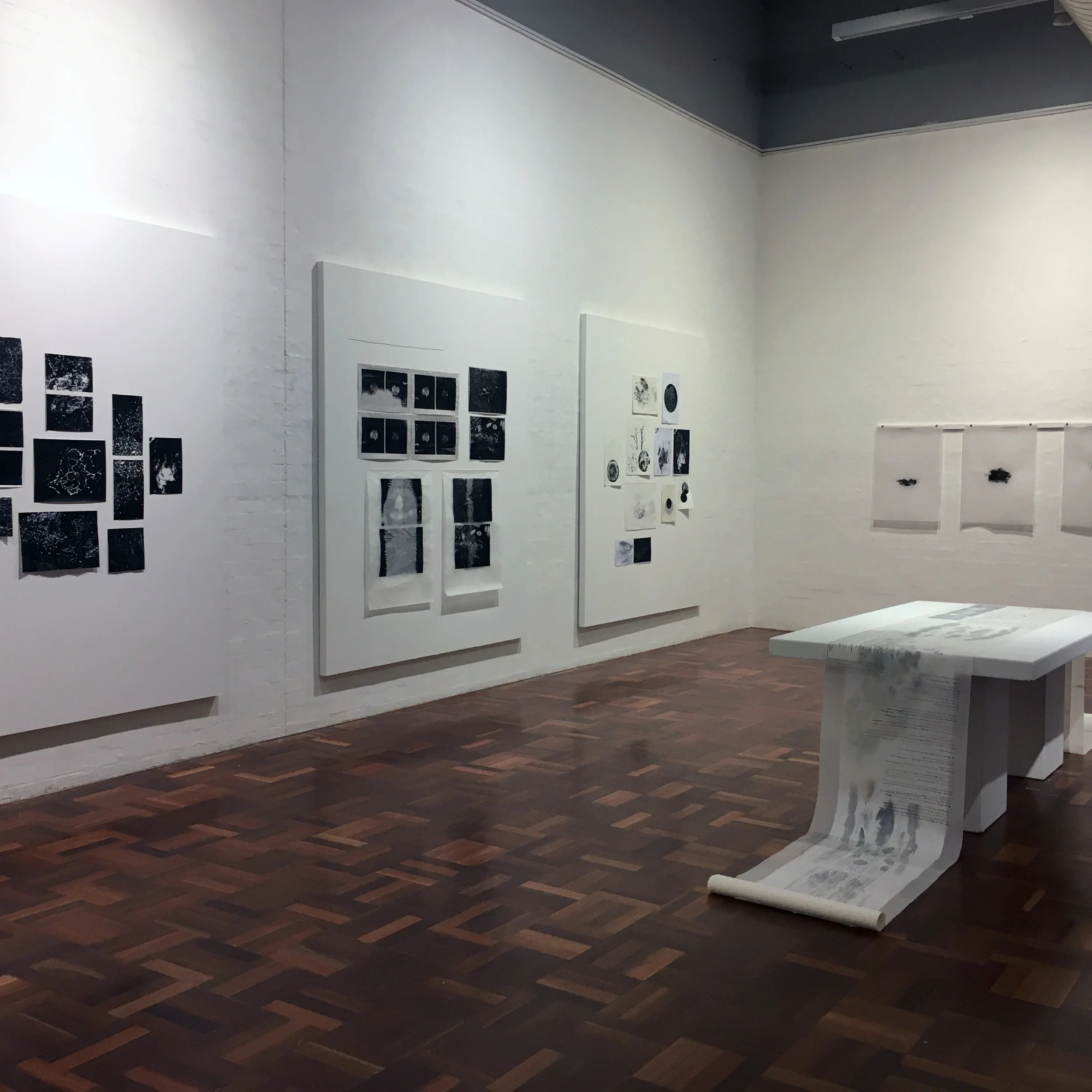   Articulations of the unknown,  installation view 2016, ANU School of Art Gallery 