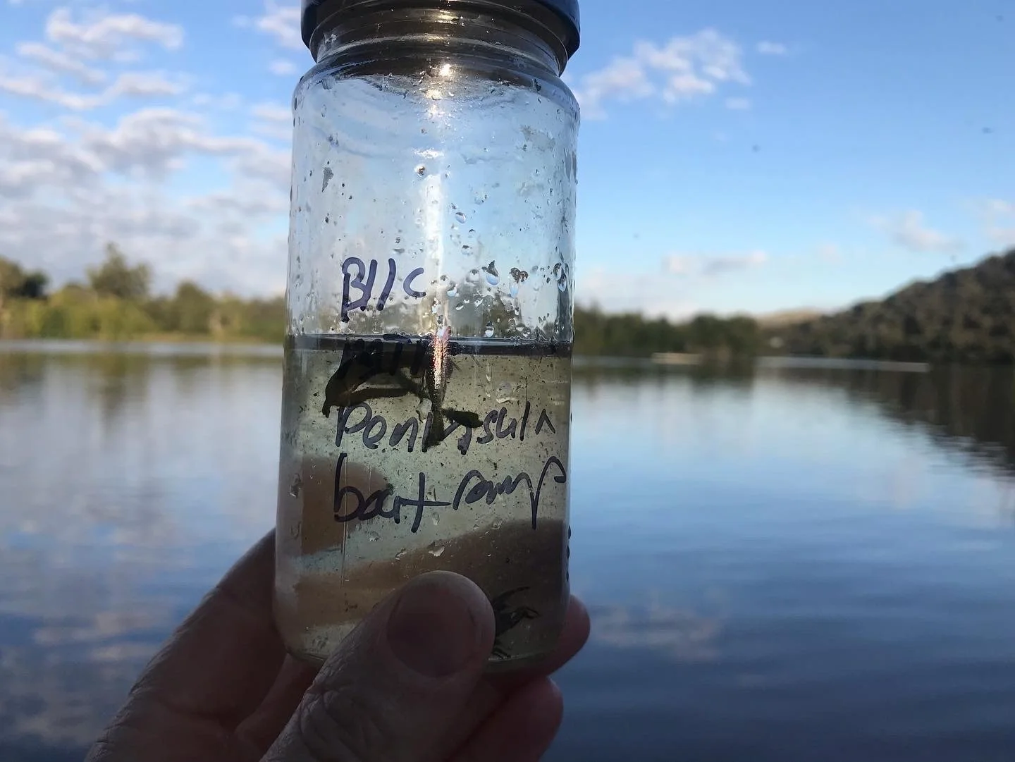 3CECA8E0-9C5B-48C3-A1BA-B0082F8B4AC4 3.JPG