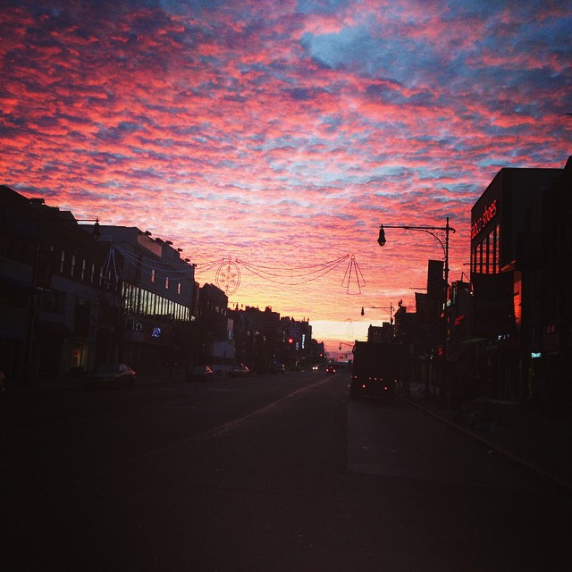 Biking to work, taking a moment... #appreciatingthelittlethings