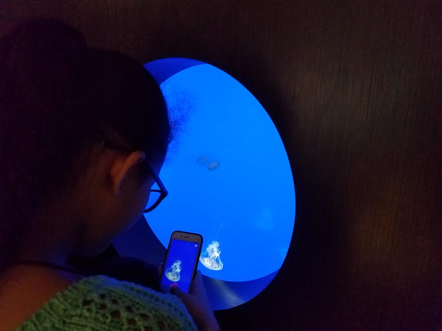 This middle school student used her Prep Points (earned for positive behavior and work habits) to win a trip to the Aquarium in the Prep Points Auction.