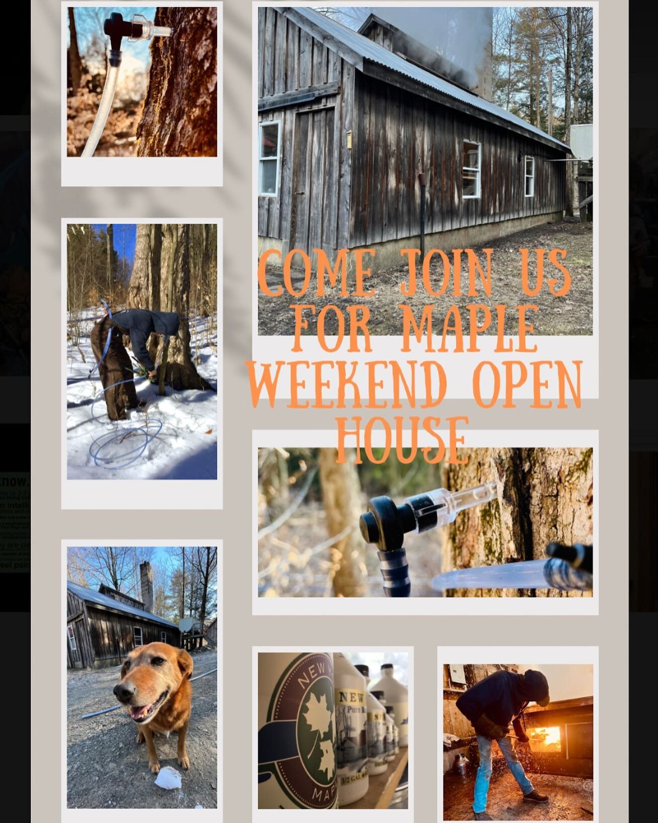 Maple Weekend is almost here. Come see us this weekend March 16&amp;17 and March 23&amp;24 10am-4pm to stock up on your favorite maple treats and to tour our maple operation #shoplocal #mapleweekends #mapletreats #shopwny #farmersmarket #supportfarme