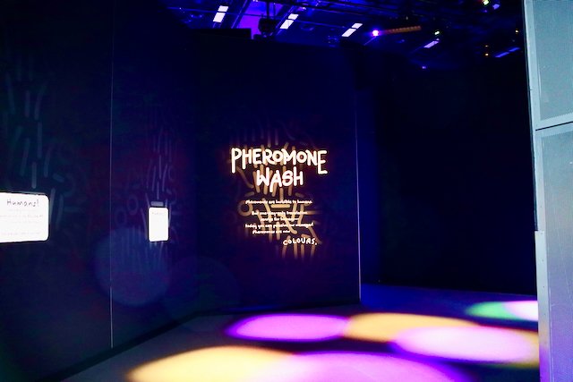 Antopia at the Melbourne Museum - Review - Busy City Guide