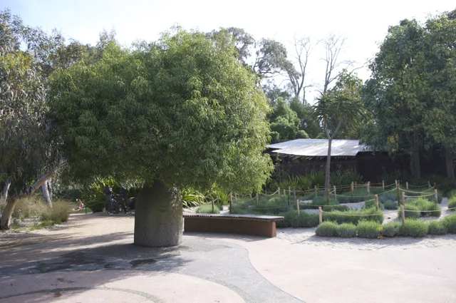 The Ian Potter Foundation Children’s Garden - Melbourne - Review