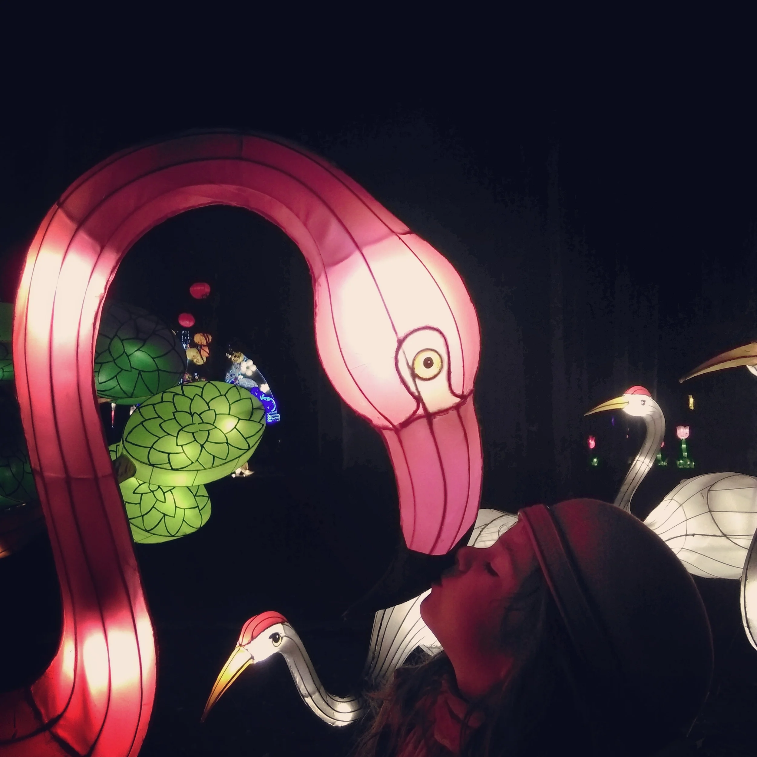 Dandenong Festival of Lights