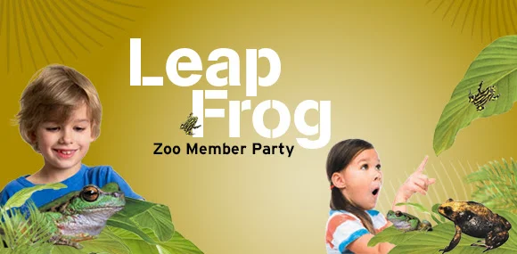 Leap Frog Member Party