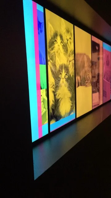 andywarholaiweiweiexhibit03.jpg