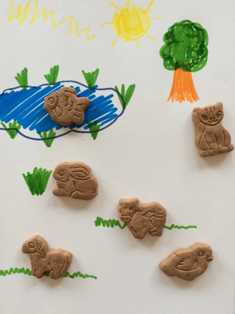 Whole Kids Certified Organic Snacks Review