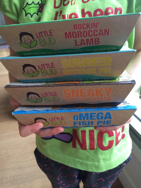 Little Bud Fresh Meals for Kids - Review