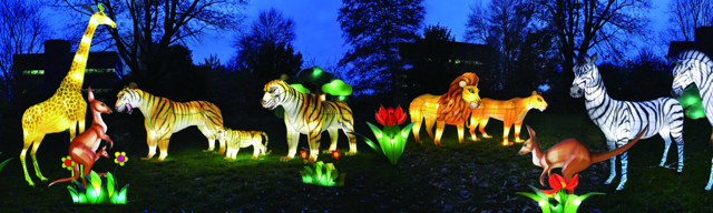 dandenongfestivaloflights04.jpg