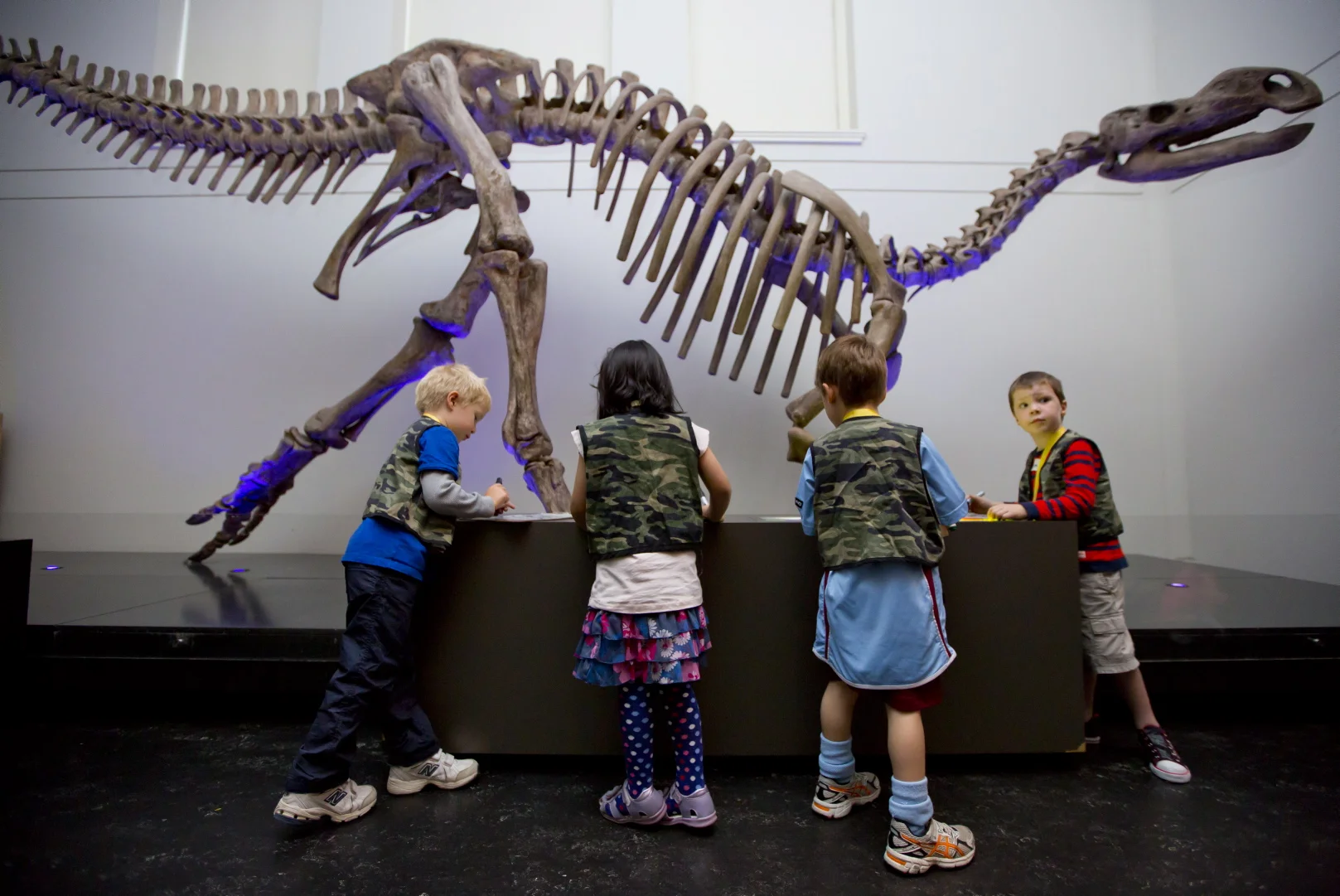 Photo credit: Australian Museum