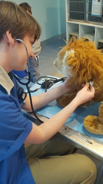 zoosvictoriateddyvetcheck03.jpg