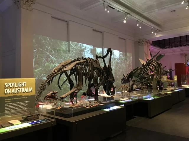 australianmuseum05.jpg