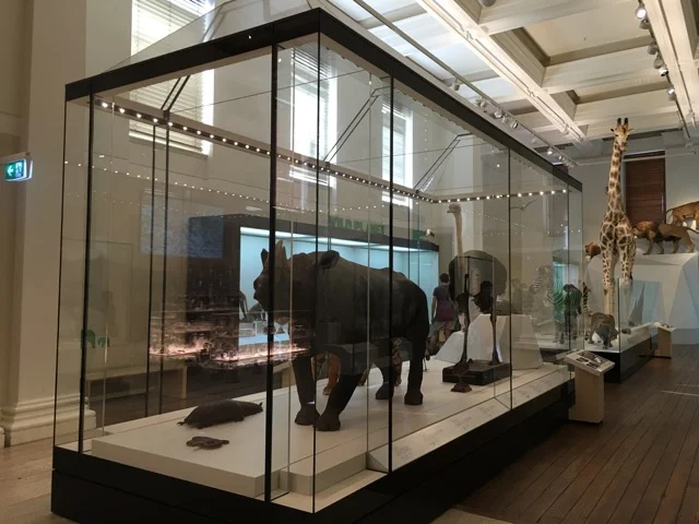 australianmuseum08.jpg