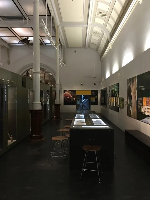 australianmuseum16.jpg