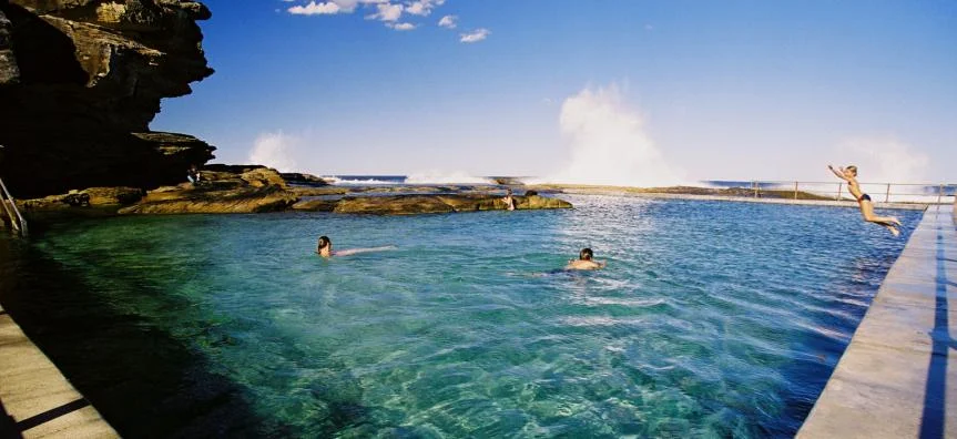 Photo credit: This single photo was retrieved from the Warringah Council website - all other photos on our website are our own.