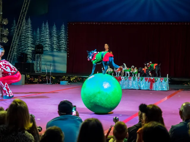 santasmagicalkingdom13.jpg