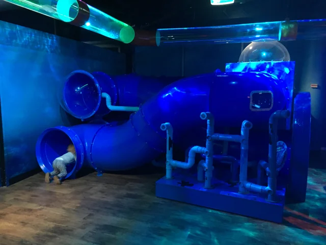 findingdorysealifemelbourneaquarium04.jpg