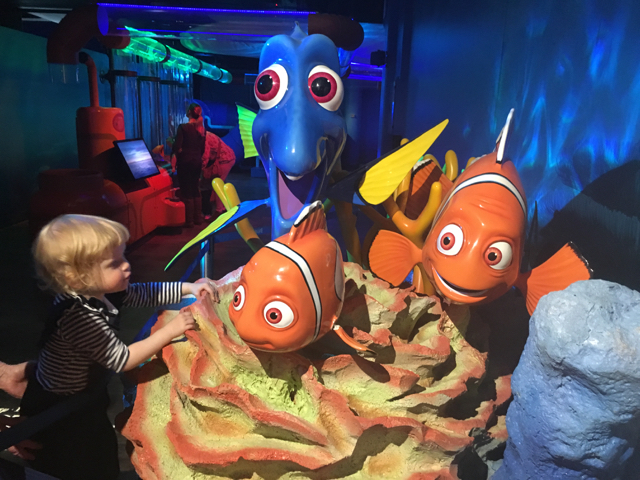 Finding Dory and Friends: The Experience at the Melbourne Sealife Aquarium