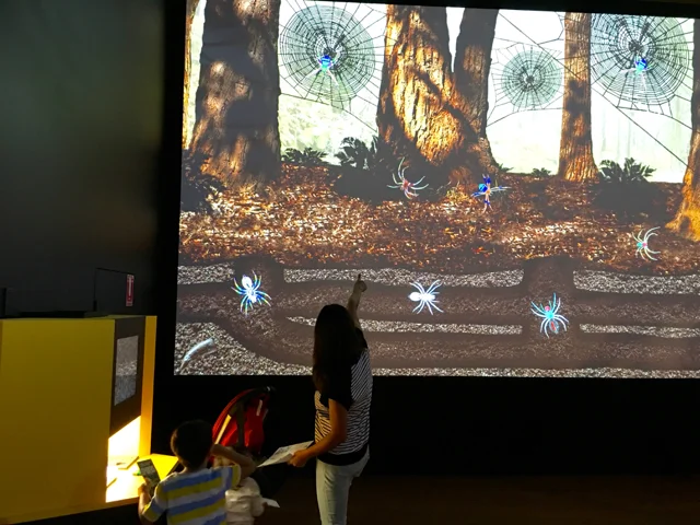 australianmuseumspiders12.jpg