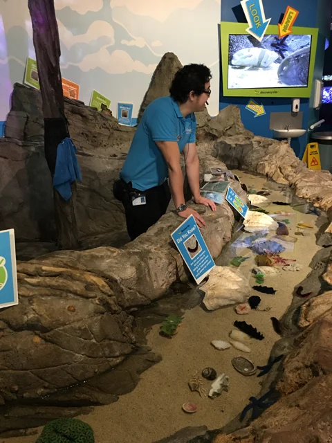 sealifesydneyaquarium05.jpg