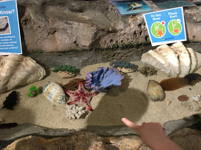 sealifesydneyaquarium06.jpg