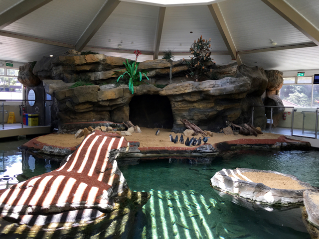 manlyaquarium01.jpg
