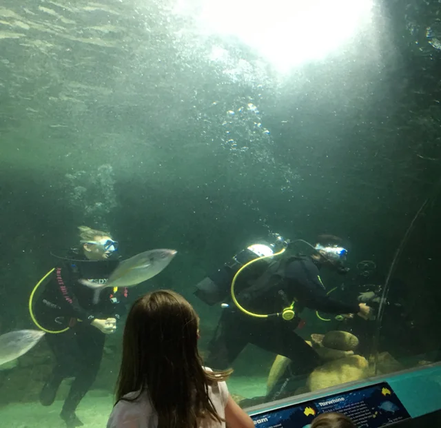 manlyaquarium07.jpg