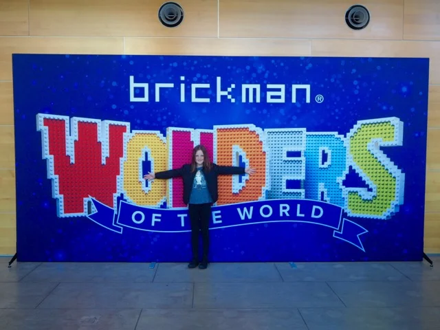 brickmanwondersoftheworld00.jpg