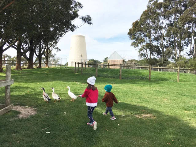 Hahndorf Farm Barn - Adelaide - Review
