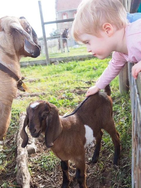 Photo credit: @kateflatman for @busycitykids
