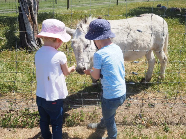 Photo credit: @kateflatman for @busycitykids