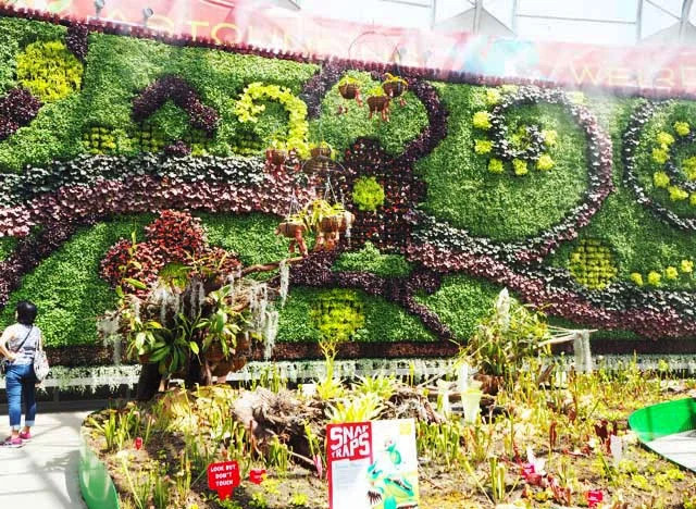 Plants with Bite at The Calyx - The Royal Botanic Garden - Sydney - Review